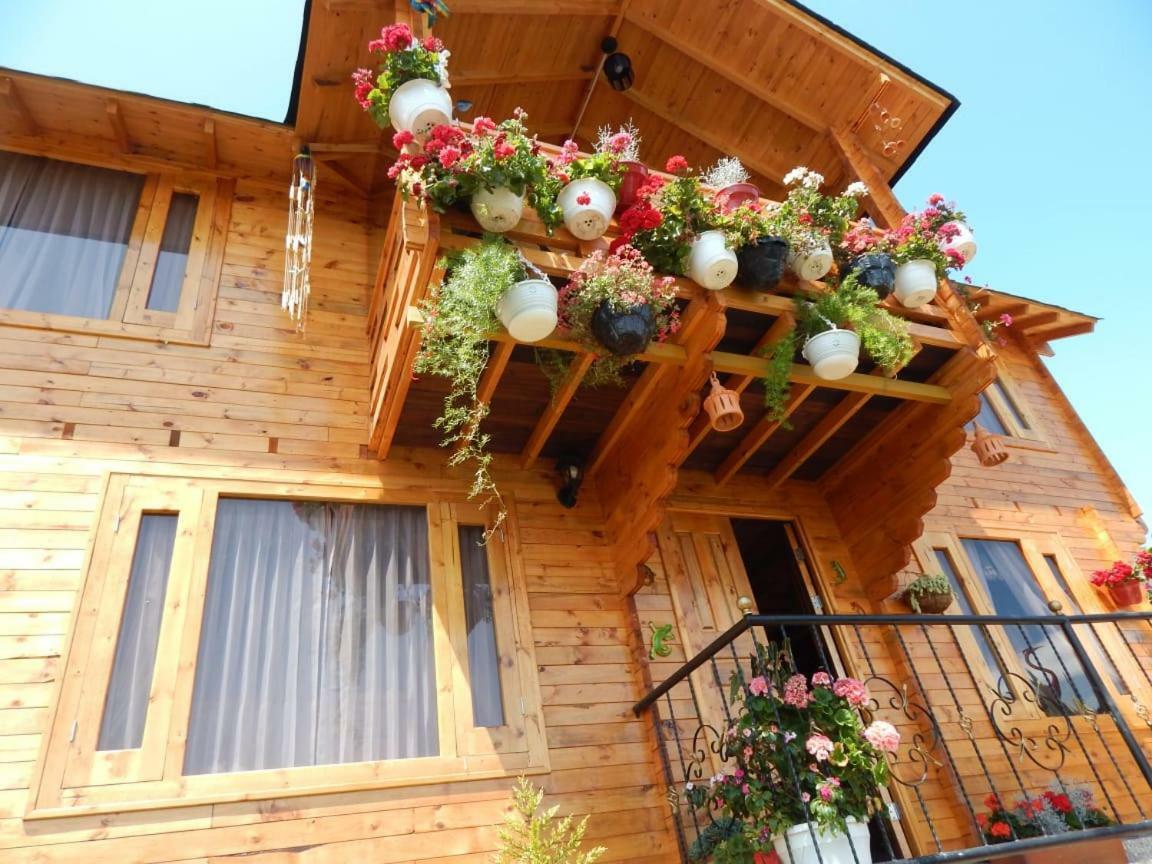 Villa Evelia Aquitania Exterior foto